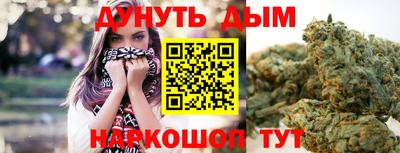 сатива Бузулук