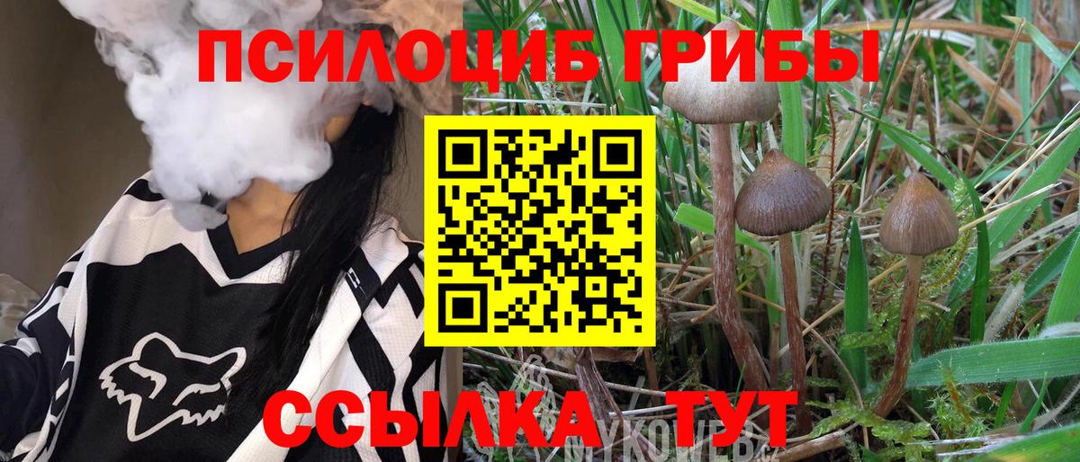 Псилоцибиновые грибы Psilocybe  Псилоцибиновые грибы мухоморы  Салават  Вход с VPN 