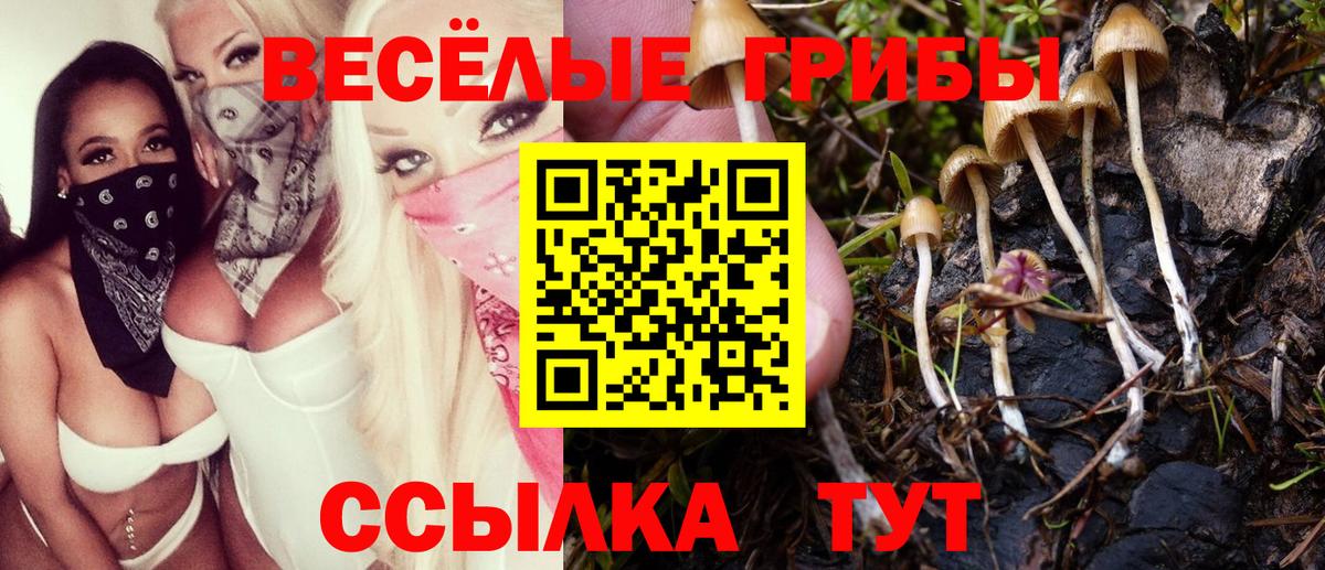 Галлюциногенные грибы ЛСД Салават
